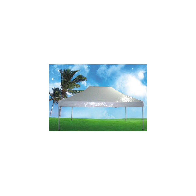 Pavillon de jardin 10 pi x 15 pi blanc