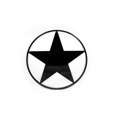 Fe26 2D Star Ornamental Insert Gloss Black