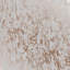 Milan Floral Vinyl Metallic Wallpaper Roll