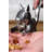 RSVP International 1 Nutcracker