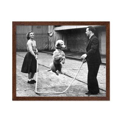 Poodle Jumping Rope