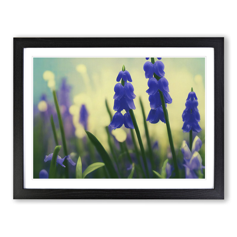 Bluebell Flower Vol.3 - Single Picture Frame Print, 46cm H x 64cm W x 2cm D, Black Framed
