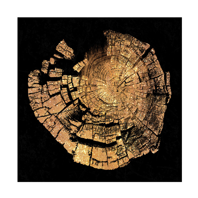 Art sur toile, «bolologia, anneaux de vie», H 14 po x l 14 po