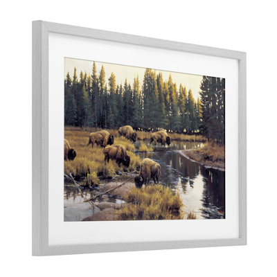 Grazing Bison Along Riverbank Framed Print Under Glass, design by Paco Young