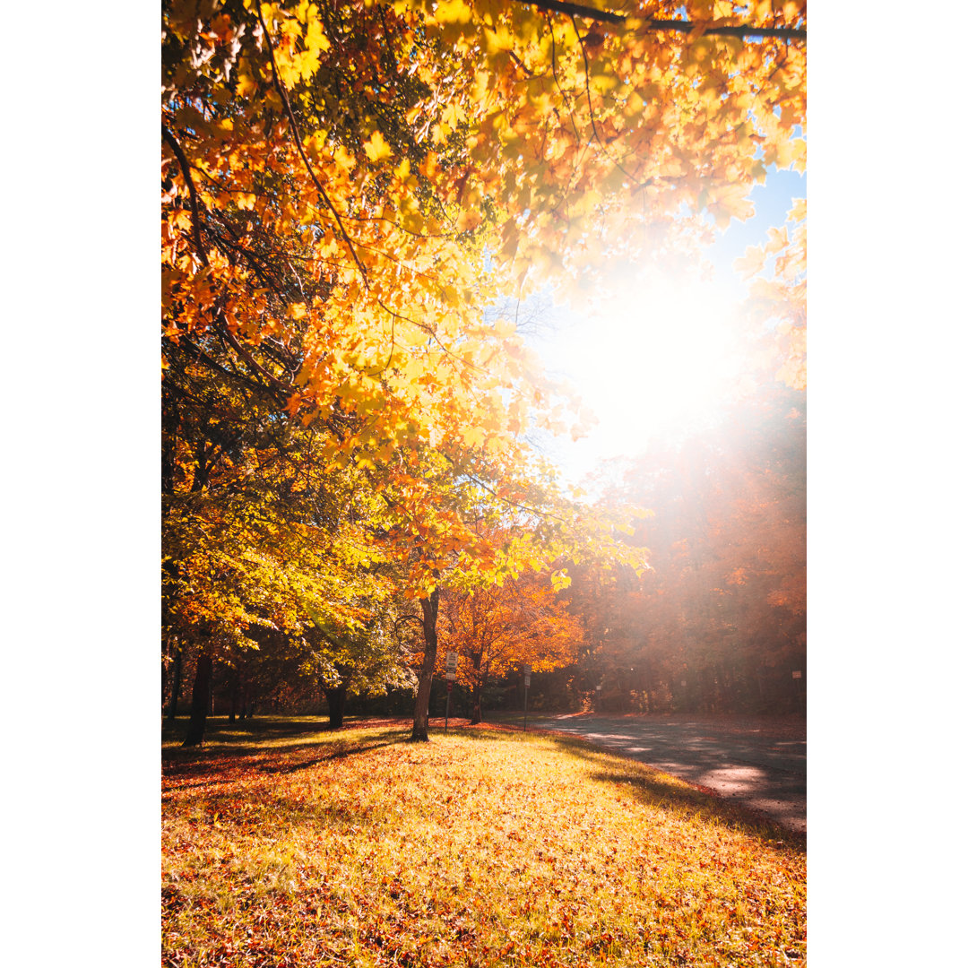 Autumn Park von Franckreporter - Kunstdrucke auf Leinwand ohne Rahmen