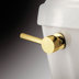 Polished Brass
