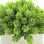 Faux Succulent in Fiberstone Pot-1601367899