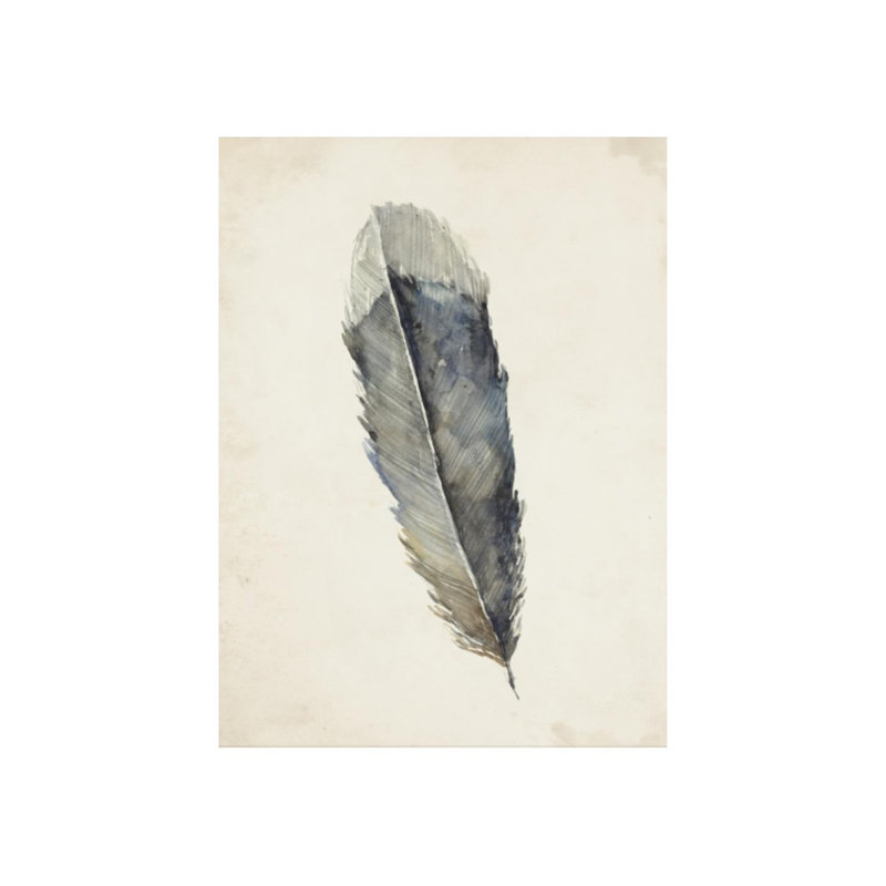 Charcoal Feathers I Print by Beverly Fuller, Matte, 27" H x 20" W