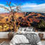 Paysage du Grand Canyon avec un arbre-88769581