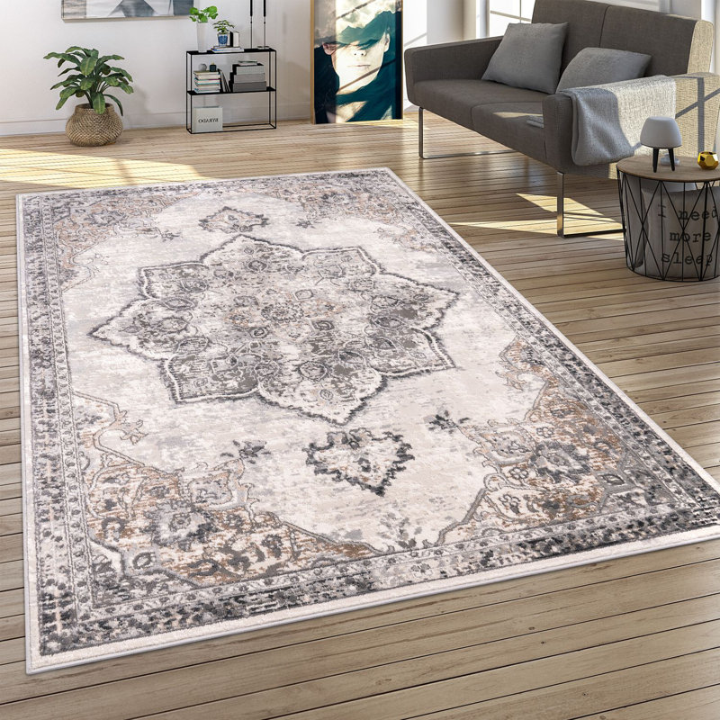 Bircham Oriental Area Rug, Rectangle 160 x 220cm