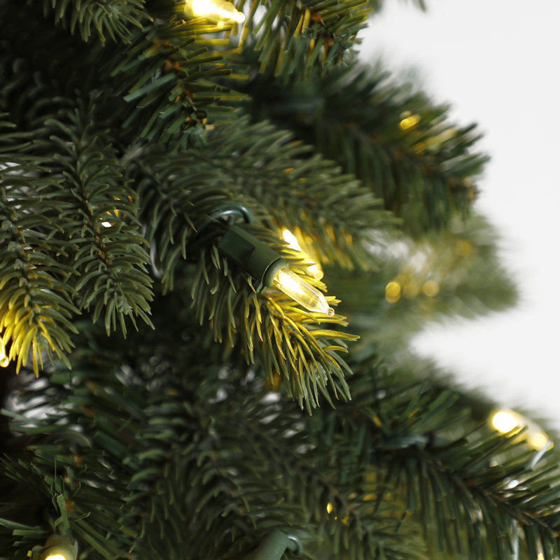 60' Lighted Spruce Christmas Tree