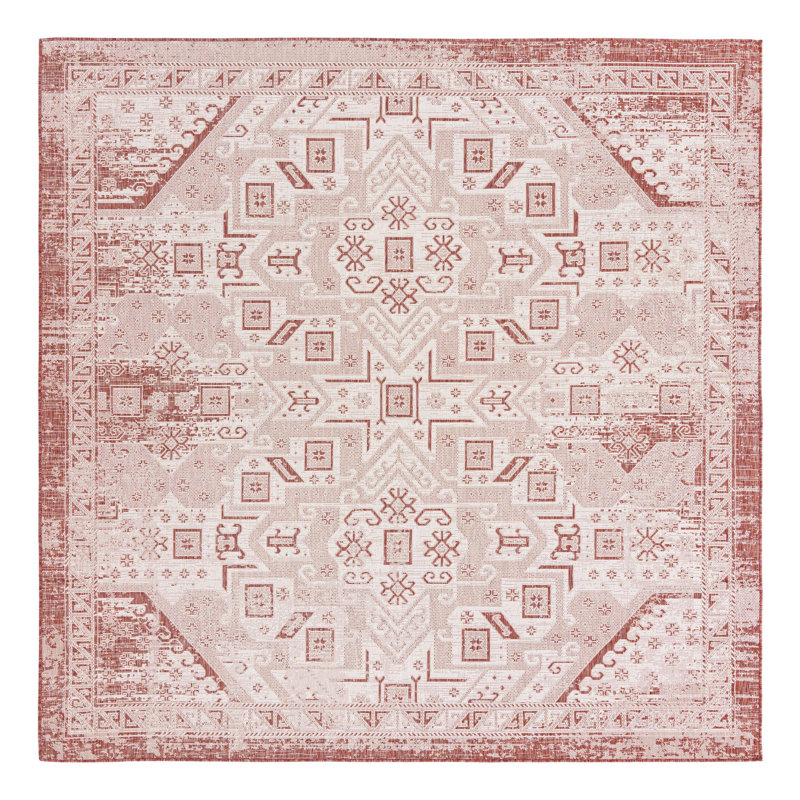 Allexis Indoor / Outdoor Rug, Square 10'