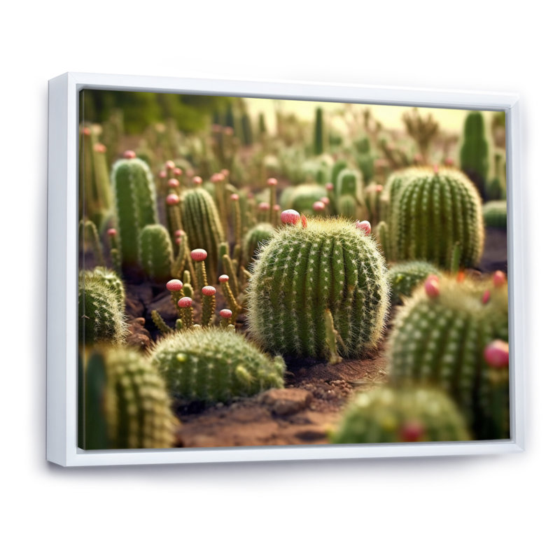 Cactus Perfection Sunrise I sur impression sur toile, Cadre flottant blanc, H 34 po x l 44 po