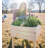 Graylie Wood Elevated Planter