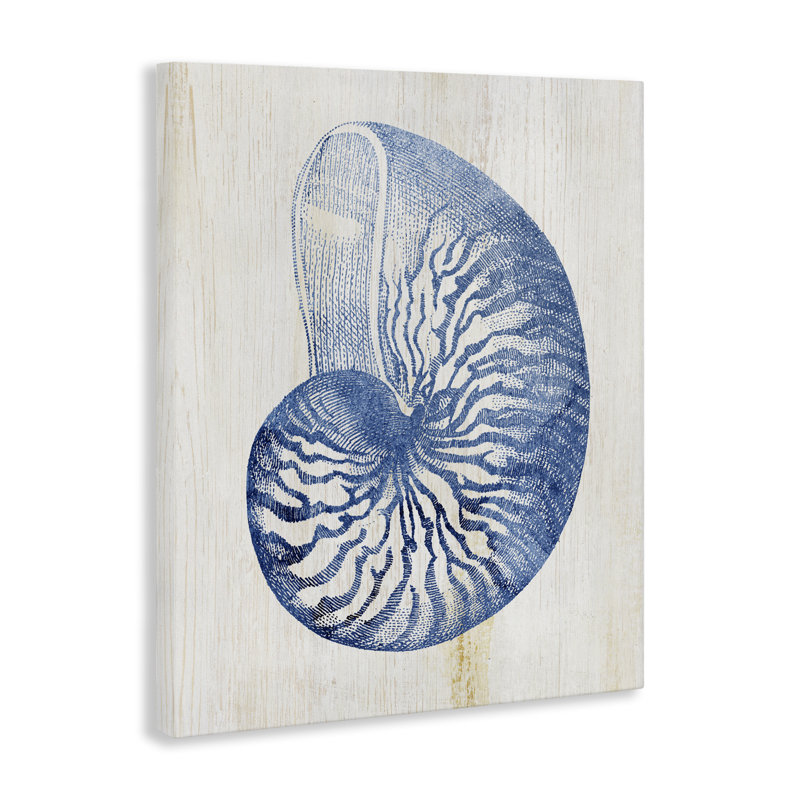 Toile de coquillage bleu Nautilus, design par Susan Arnot, H 20 po x l 16 po