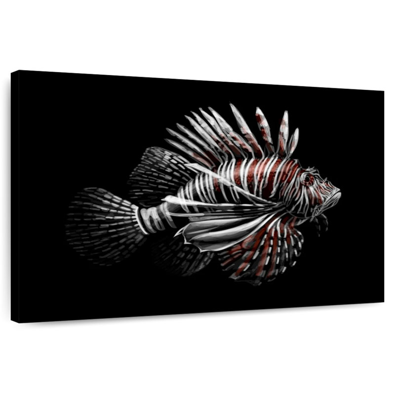 Poisson-lion sur fond noir, H 20 po x l 30 po