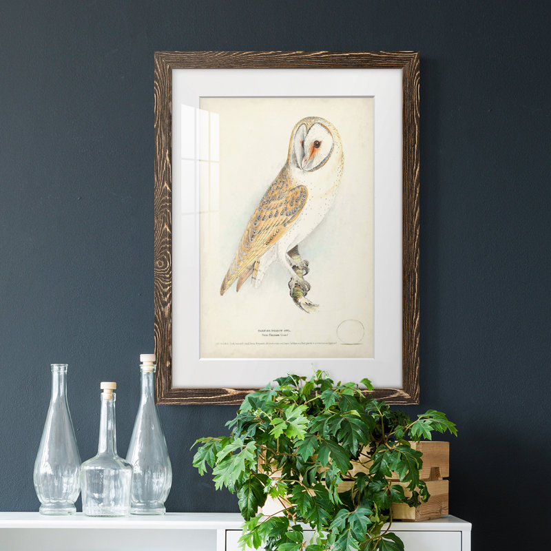 Barn Owl Premium encadré mat - prêt à accrocher, H 24 po x l 20 po x P 1 po, Cadre noyer