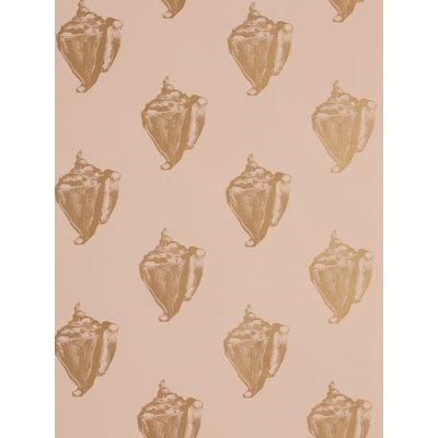 Conch