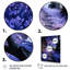 Bluebells Mystical Bluebells I - impression-1828122680-1828122677