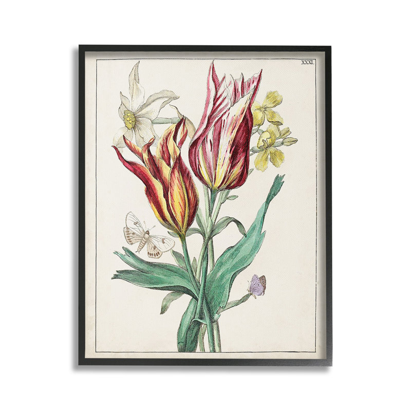 Tulipes et papillons de nuit, Giclée encadrée noir minuit, H 20 po x l 16 po