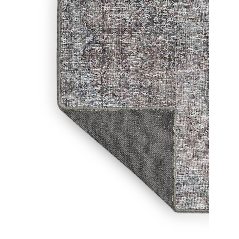 Tapis gris/beige traditionnel Damariscotta, Rectangle 3 pi x 5 pi