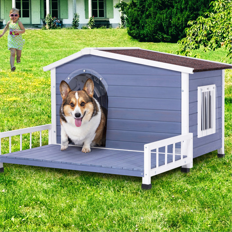 Niche pour chien en bois massif pour l'extérieur, convient aux petites et moyennes races avec grand plancher et surélevé, grandes tailles et fenêtres