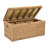 Pham 1 Piece Wicker Trunk