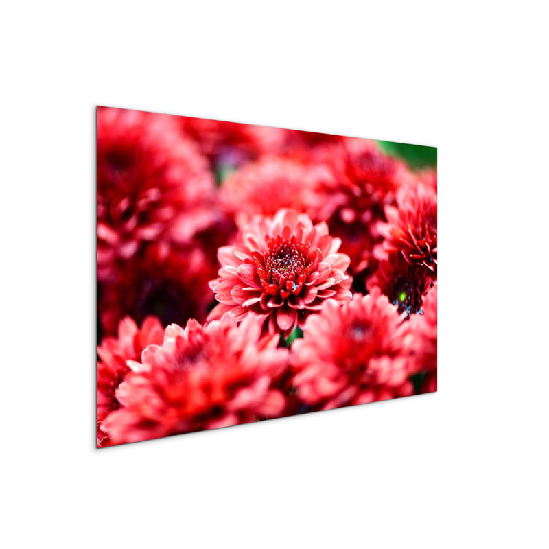 Red flowers by Art Studio 53×80 cm MetalArt Materic Aluminum Satin Effect, Frameless Panel, Lightweight Ready to Hang