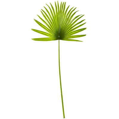 33'' Faux Palm Plant