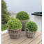 Pot à fleurs Ayriauna-756765343