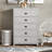 Isenbert Crissman 5 Drawer Dresser-121612412