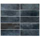 2.58'' W x 7.9'' L Ceramic Subway Singular Tile