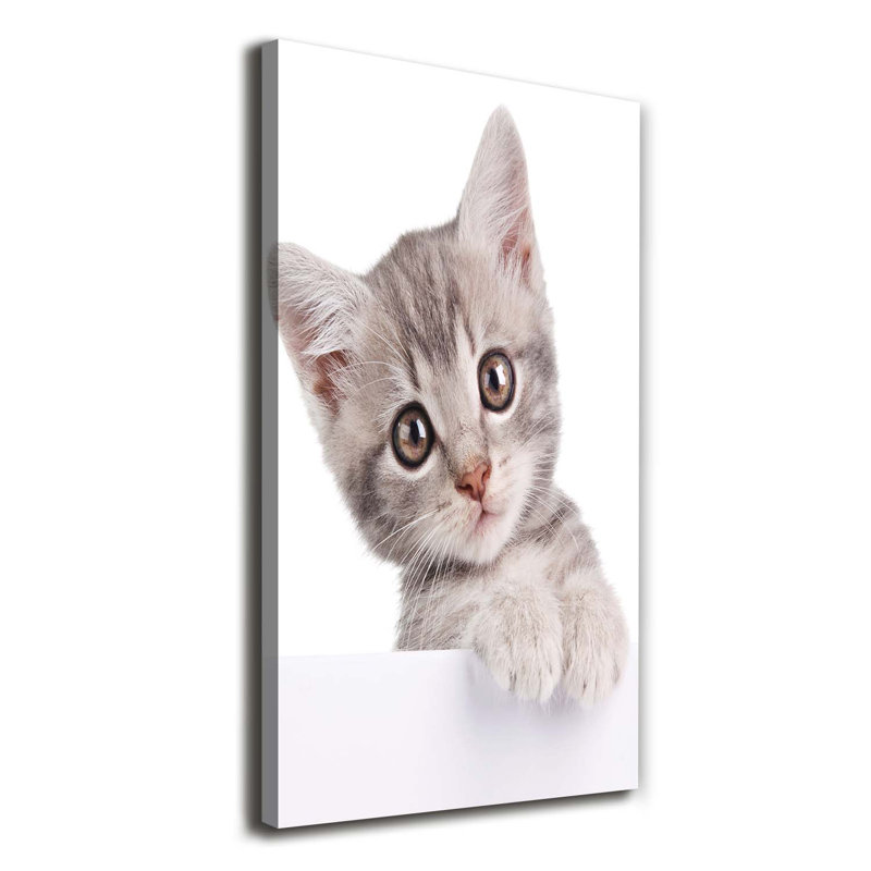 Grey Cat - Wrapped Canvas Print