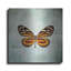 «French Butterfly VIII» par Debra Van Swearingen-2057608700