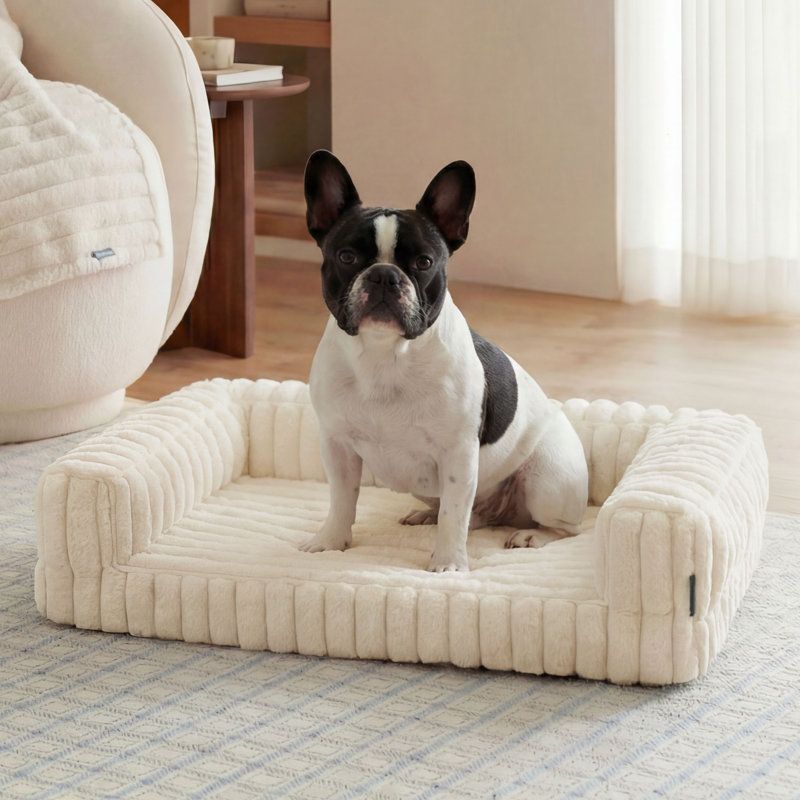 Canapé-lit orthopédique pour grands chiens Comoresfleece, M (H 6,5 po x l 30 po x P 20 po), Crème