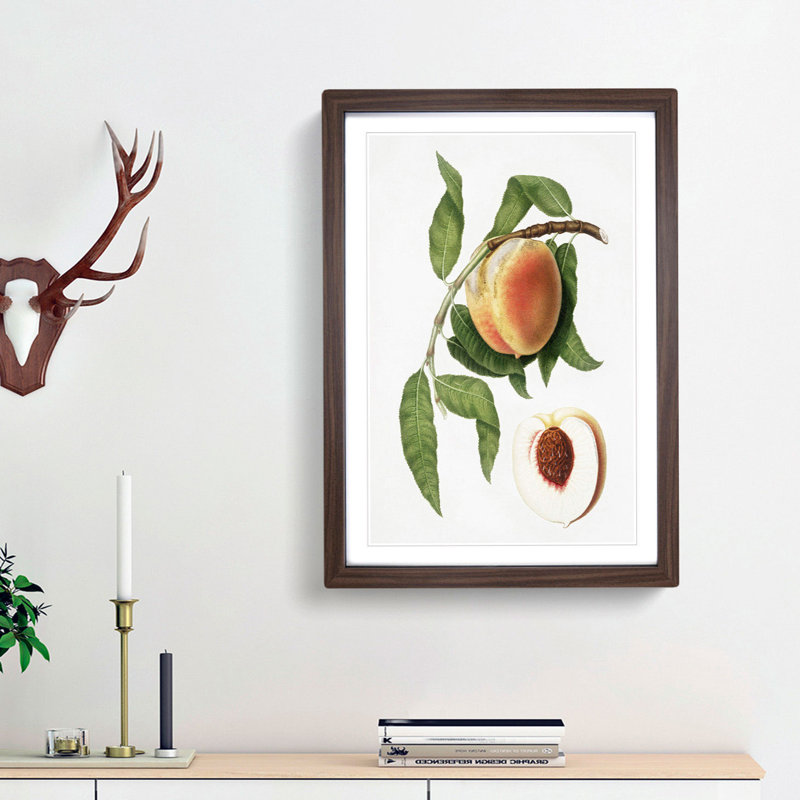 Juicy Peach Tree by Giorgio Gallesio - Picture Frame Graphic Art Print, 65cm H x 48cm W x 2cm D, Walnut Framed