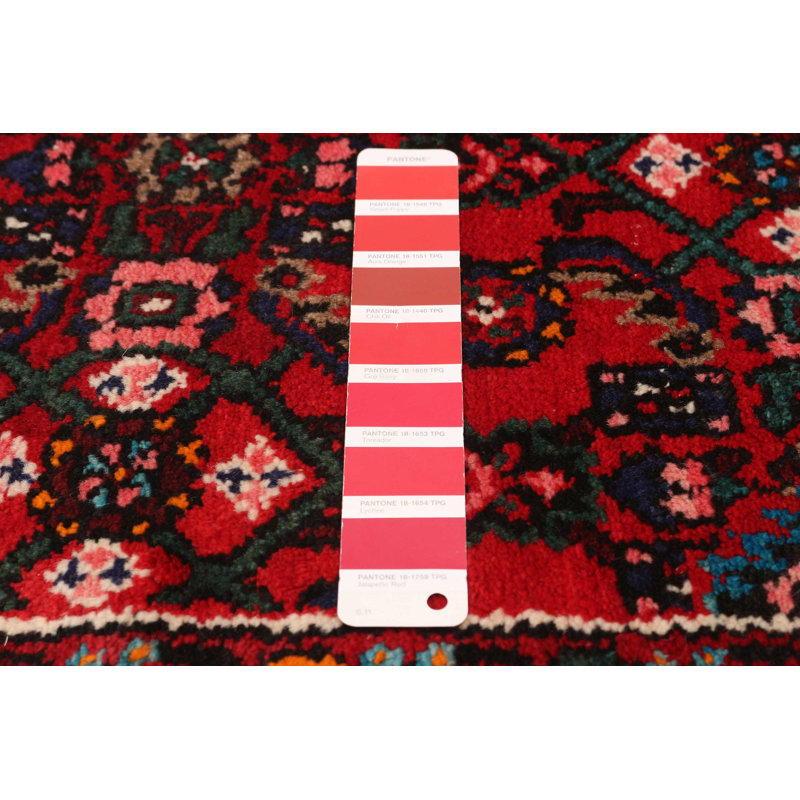 Tapis rouge Andelz 2 pi 11 po x 13 pi 5 po