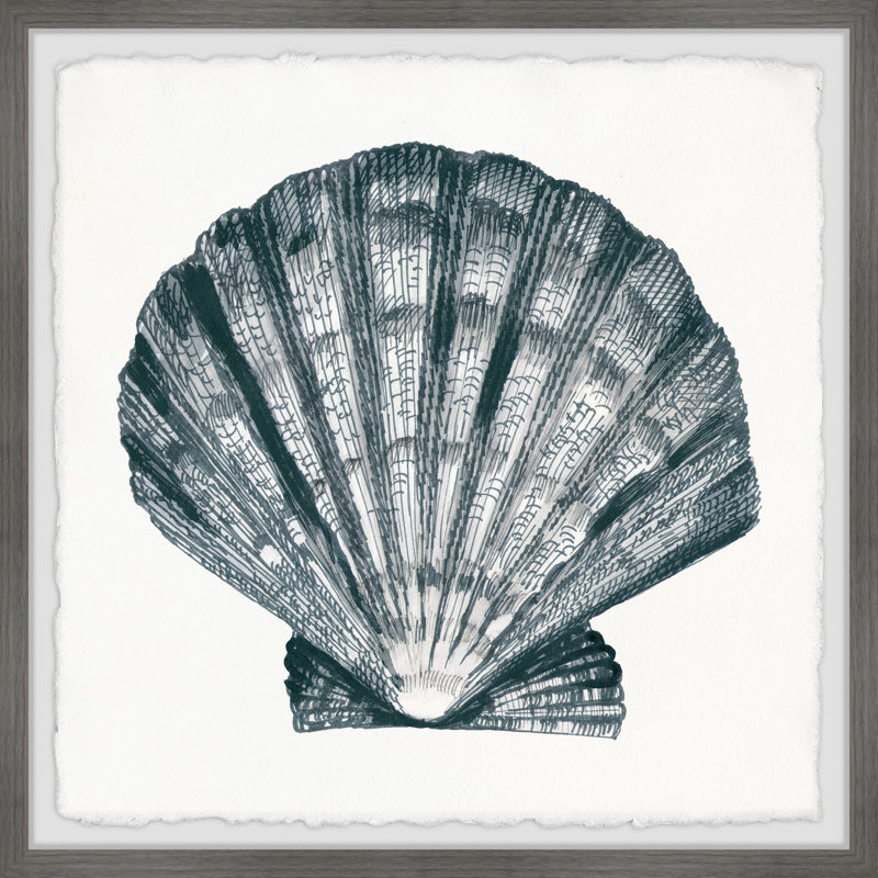 «Arctic Scallop Shell», reproduction encadrée, H 12 po x l 12 po x P 1,5 po