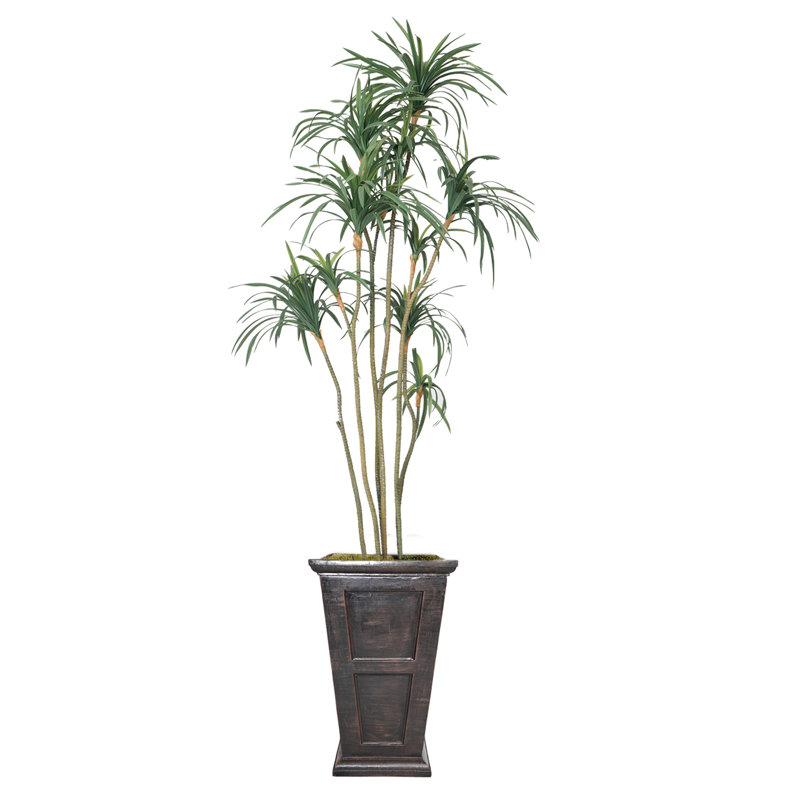Arbre de dragon artificiel en pot 93 po
