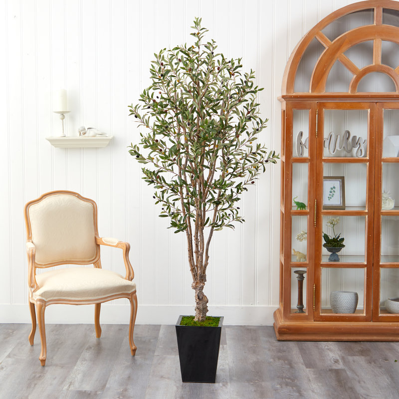 Olive artificielle en pot, H 78 po x l 25 po x P 18 po