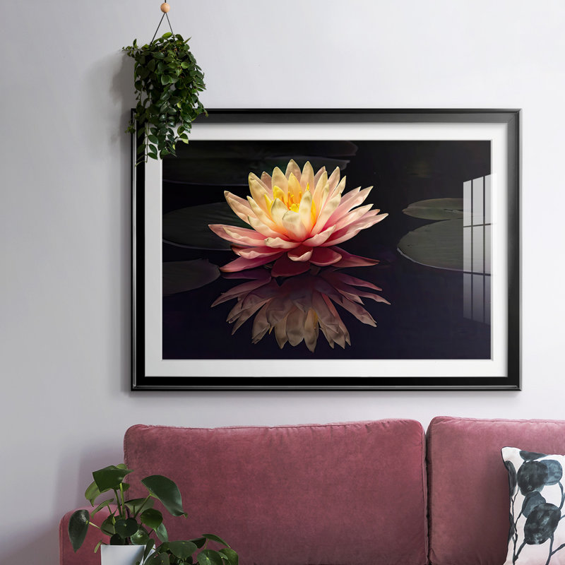 Photographie, étude, nénuphar encadré sur papier, Noir, H 15 po x l 21 po x P 1,5 po