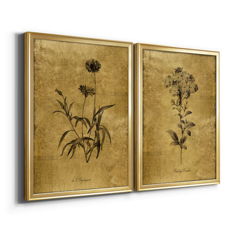 Gold Framed Botanical Sketch Canvas Print Set