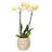 Everard Handmade Cachepot-1090425755