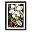 A Laurel Magnolia Tree by Mark Catesby - Picture Frame Painting Print-55629776-55629780