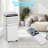 8,000 BTU Portable Air Conditioner 3-in-1 with 24H Timer，Sleep Mode, Dehumidifier, 2 Fan Speeds, Fast Cooling AC Unit with Remote, Digital Display for Home/Office