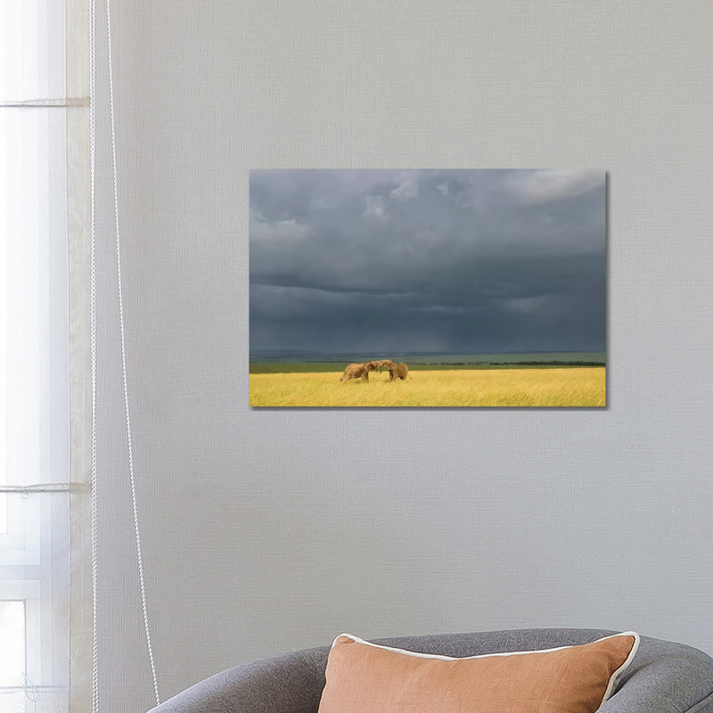 Africa, Kenya, Maasai Mara National Reserve. Storm Clouds Over Elephants At Sunset. - Wrapped Canvas Print