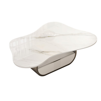 Elegant Coffee Table, Faux Marble Coffee Table With Storage