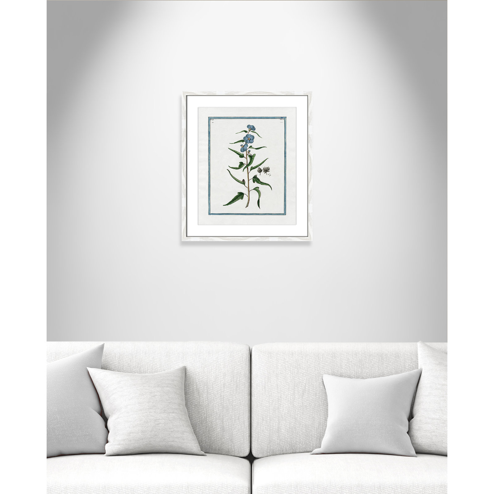 Colombe "Shabby Elegance Botanical I" Print, 16" W x 19" H, White Framed