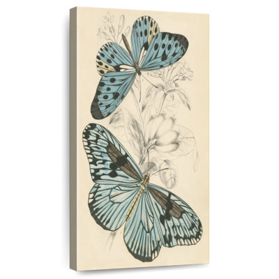 Assortiment de papillons II