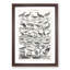 Ornithology Study of Birds LXVII by Oliver Goldsmith - Picture Frame Drawing Print-55733869-55733873